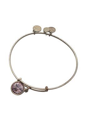 Alex And Ani Adjustable Bangle Bracelet With Pink Crystal Charm & Silver-Tone Fi